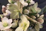 blumen pucher hochzeit 76 blumen pucher hochzeit 76